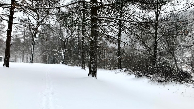 You are currently viewing A White Christmas Walk In The Park