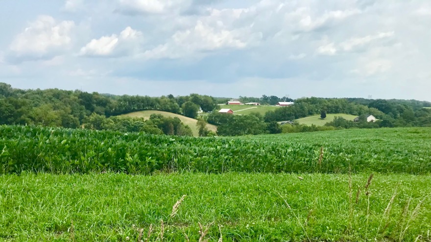 You are currently viewing The Crops Are Getting High Which Means Summer Is Here