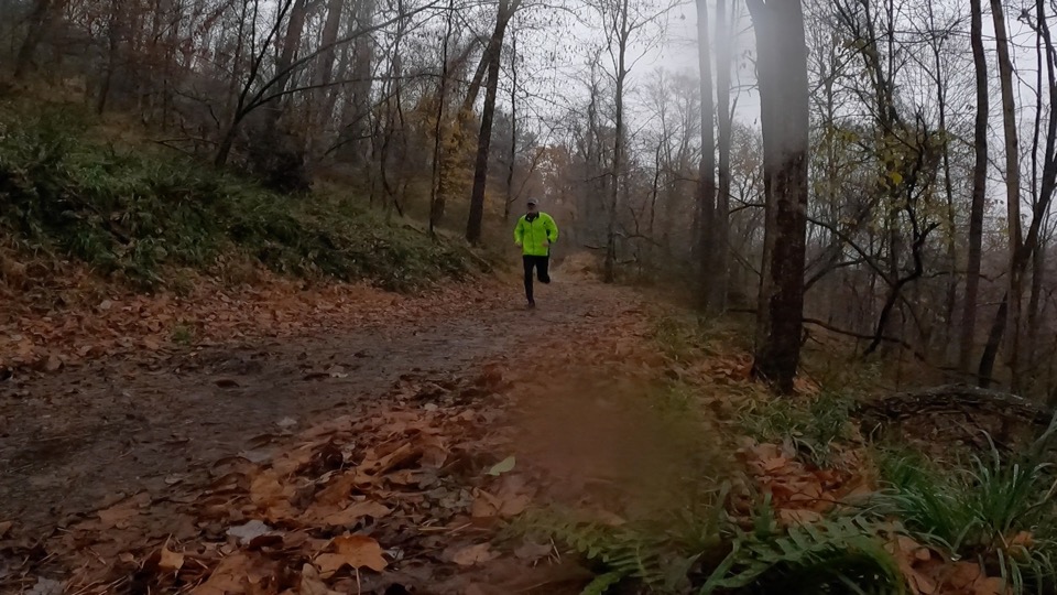 You are currently viewing A Very Wet Trail Run In The Woods