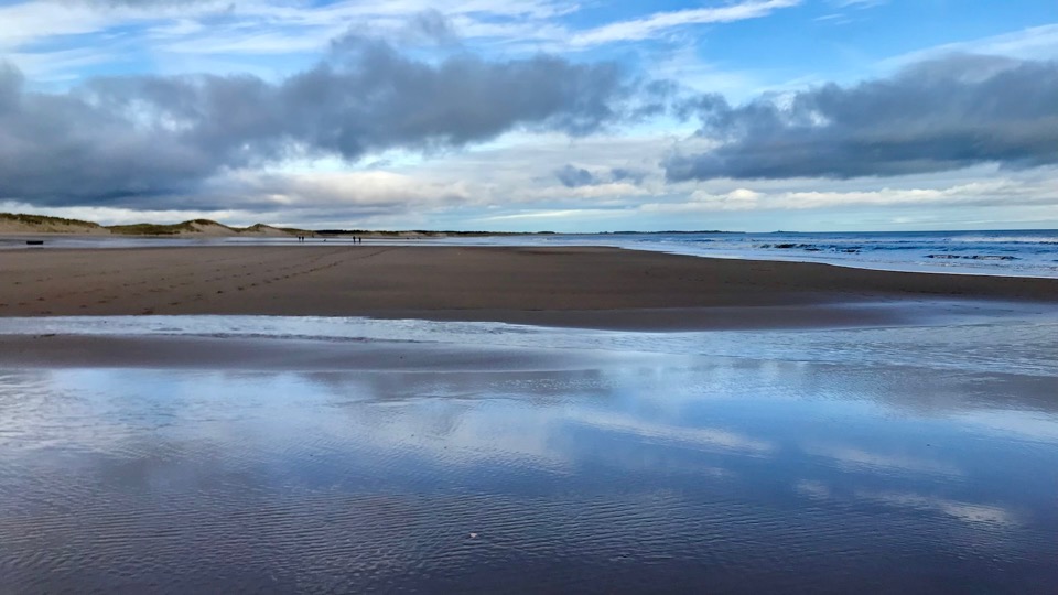 You are currently viewing A Walk On The Beach Was A Perfect Workout Today