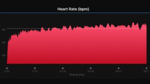 Read more about the article My Heart Rate Was A Little Elevated On My Easy Run
