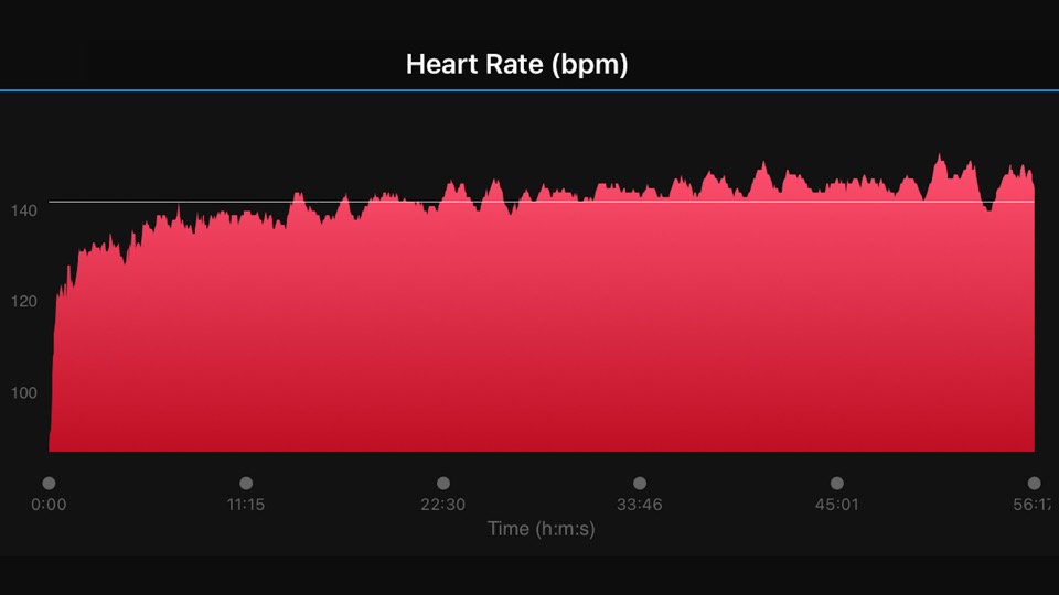 You are currently viewing My Heart Rate Was A Little Elevated On My Easy Run