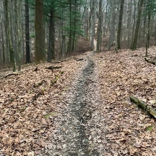 The Orange Trail In North Park